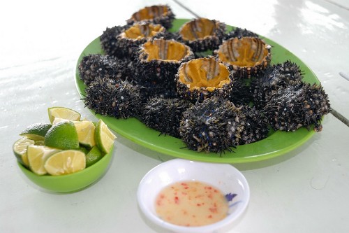 9 loài vật được khuyến cáo nên ‘ăn tươi nuốt sống’ ảnh 2