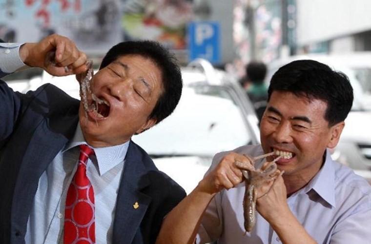 9 loài vật được khuyến cáo nên ‘ăn tươi nuốt sống’ ảnh 1