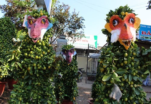 Cháy hàng cây quất hình giống khỉ có một không hai ảnh 1