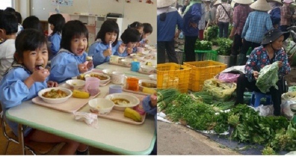 Mỗi ngày hàng ngàn kg rau bẩn đưa lên bàn ăn học sinh Hà Nội ảnh 2