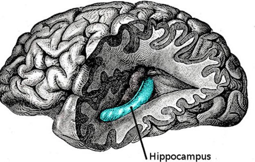 Lý giải nguyên nhân bạn thường không nhớ gì sau khi say ảnh 2