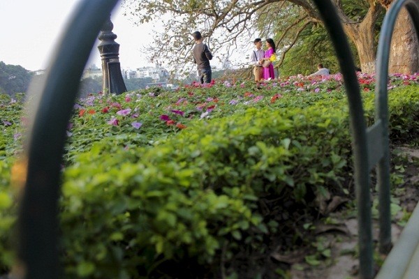 Ngắm Hà Nội rực rỡ cờ hoa dịp Đại hội Đảng 12 ảnh 6