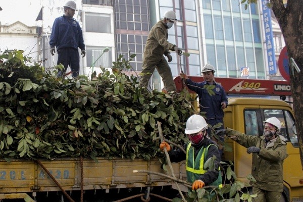 Ngắm Hà Nội rực rỡ cờ hoa dịp Đại hội Đảng 12 ảnh 8
