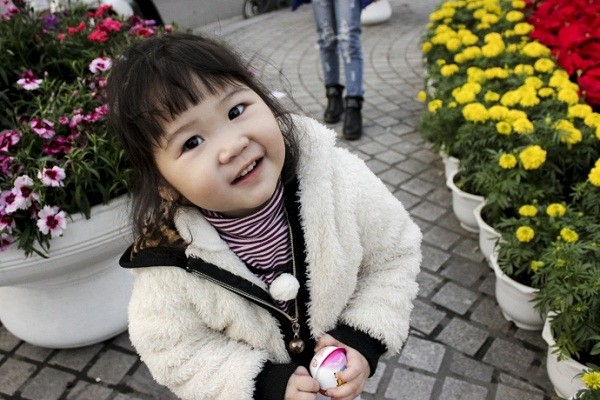 Ngắm Hà Nội rực rỡ cờ hoa dịp Đại hội Đảng 12 ảnh 11