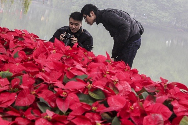 Ngắm Hà Nội rực rỡ cờ hoa dịp Đại hội Đảng 12 ảnh 14