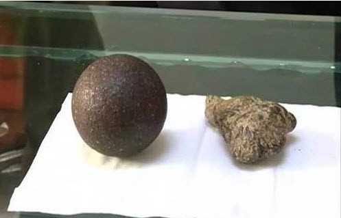 Đổi đời nhờ phát hiện dược liệu cực quý trong bụng cừu ảnh 1