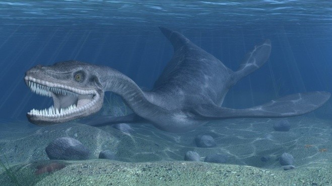 Cụ Rùa và những sinh vật bí ẩn trong lịch sử Việt Nam ảnh 5