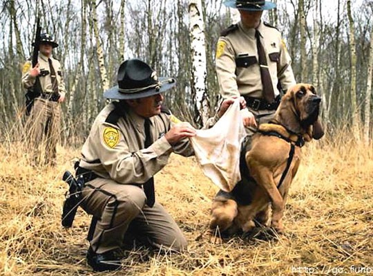 Vì sao chúng ta thích tự ngửi 'mùi hôi' trên cơ thể mình ảnh 1