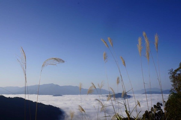 Góp lửa yêu thương, mang xuân về trên Mường Tè ảnh 2