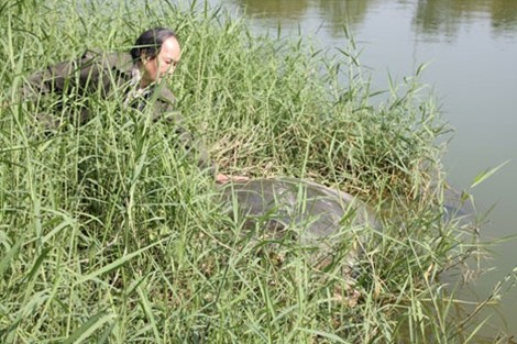 Một số hình ảnh đáng nhớ về cụ rùa của PGS Hà Đình Đức ảnh 5