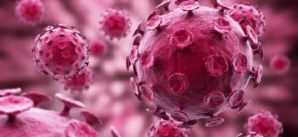 Một kiểu quan hệ tình dục khiến bạn có nhiều nguy cơ mắc ung thư ảnh 1