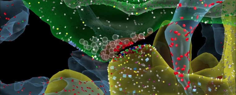 Dung lượng bộ nhớ con người lớn gấp 10 lần chúng ta tưởng tượng ảnh 2