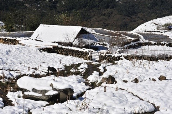 Tuyệt chiêu không thể bỏ qua khi du lịch Sapa ngày tuyết rơi ảnh 4