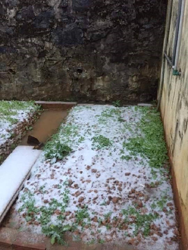 Tuyết rơi trên diện rộng tại Mù Cang Chải ảnh 9