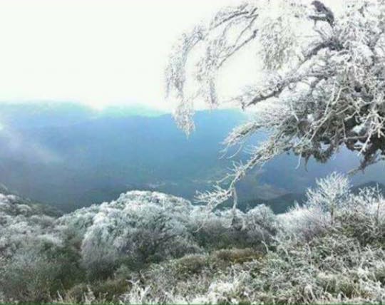 Hôm nay, Miền Bắc chìm sâu trong rét hại kỷ lục từ đầu mùa ảnh 1