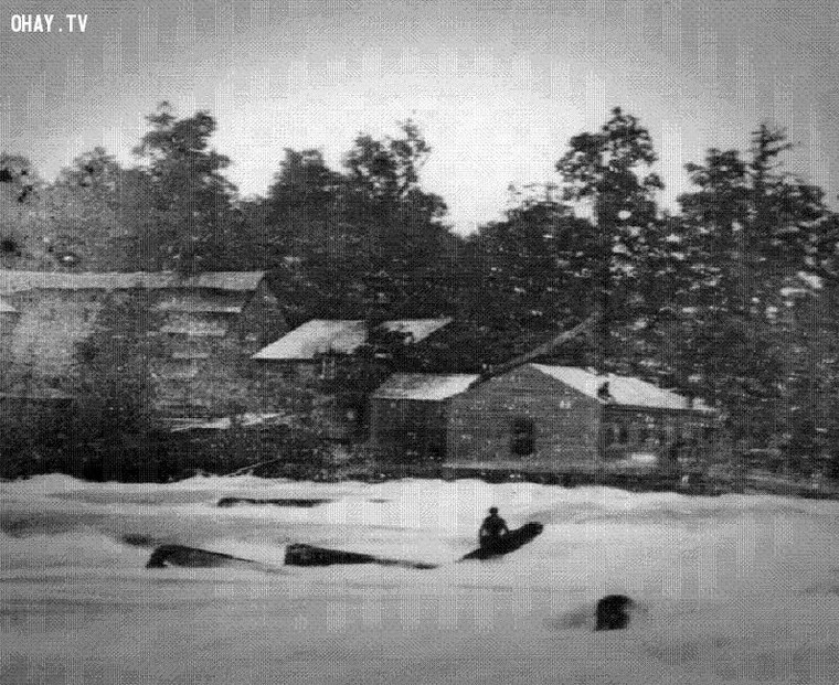 Ám ảnh bức hình cuối cùng của những người cận kề cái chết ảnh 6