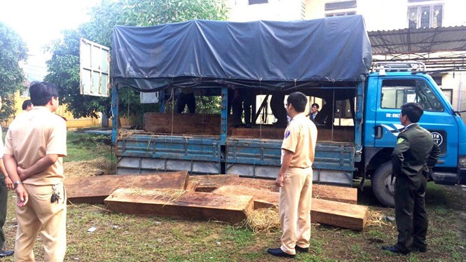 Đà Nẵng: Phát hiện kho gỗ hàng trăm m3 không rõ nguồn gốc ảnh 1