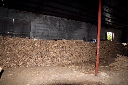 Đà Nẵng: Phát hiện kho gỗ hàng trăm m3 không rõ nguồn gốc ảnh 2