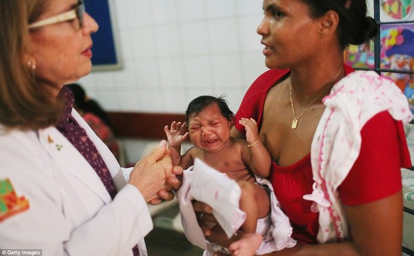 Những bức ảnh khiến bạn ám ảnh về dịch bệnh 'Zika đầu nhỏ' ảnh 5