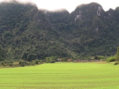 Việt Nam được chọn để quay 'King Kong 2' ảnh 3