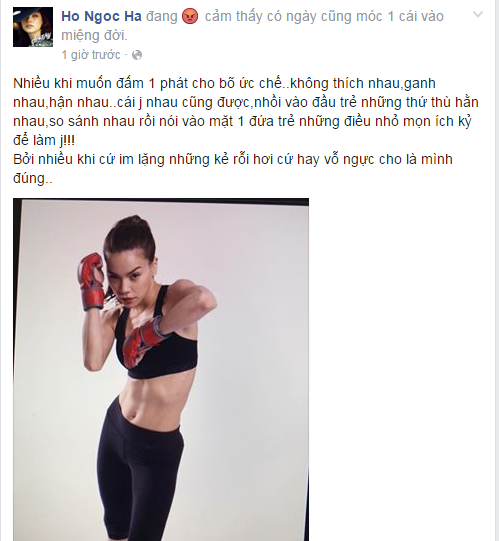 Hồ Ngọc Hà lên tiếng 'khiêu chiến' anti vì 'đụng chạm' đến Subeo ảnh 3