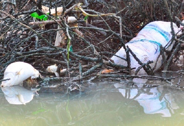 Hàng trăm hộ dân bất lực nhìn cá chết trắng sông ảnh 2