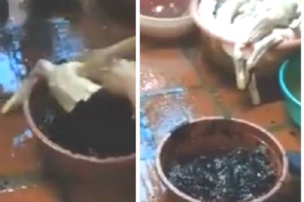 Chóng mặt với tốc độ kinh hoàng '1 phút vặt lông 5 con vịt' ảnh 1