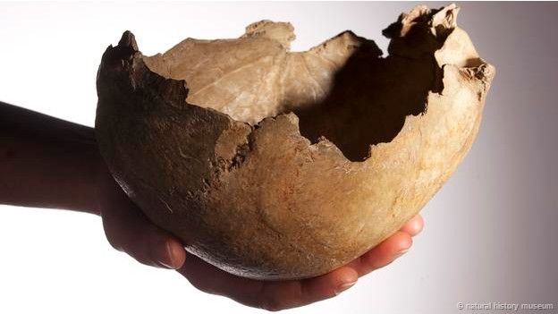 Loài người đã từng ăn thịt lẫn nhau trong quá khứ? ảnh 2