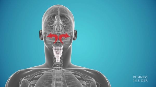 Tại sao giọng của mình khi hát karaoke không hay như bình thường? ảnh 3