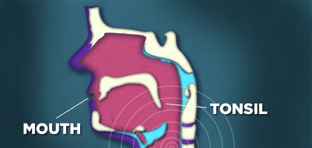 Tại sao giọng của mình khi hát karaoke không hay như bình thường? ảnh 2