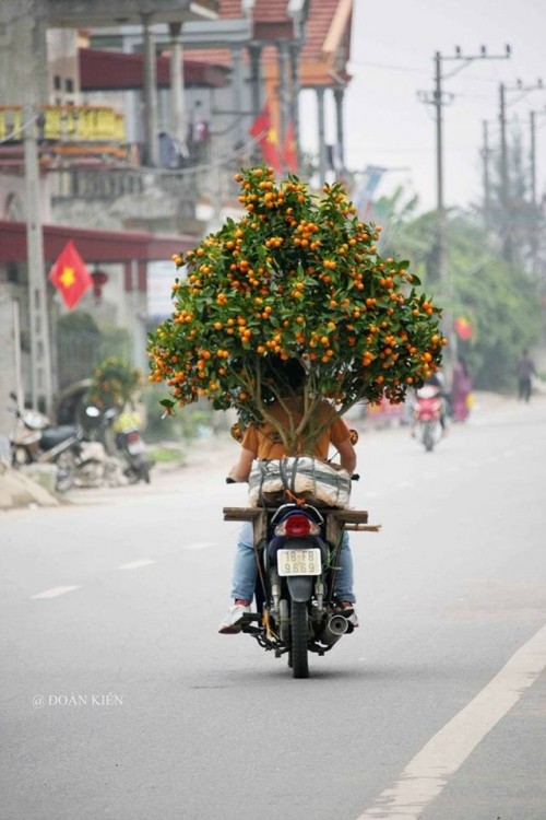 Những hình ảnh xem xong khiến bạn chỉ muốn về quê ăn Tết ảnh 3