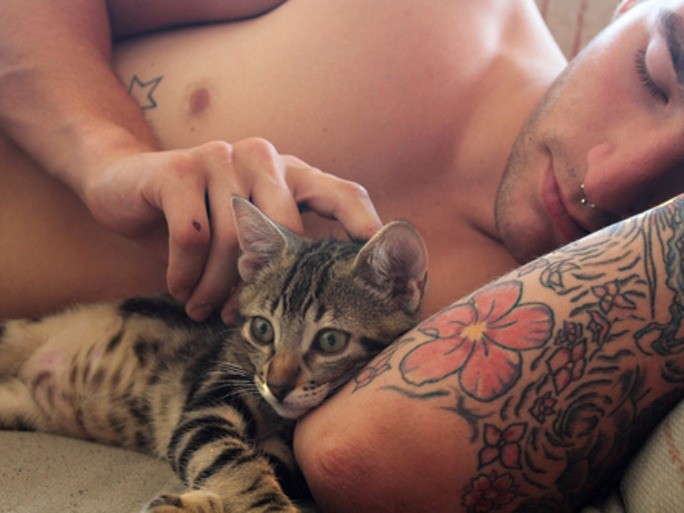 Mèo đã được thuần hóa thành vật nuôi như thế nào? ảnh 1