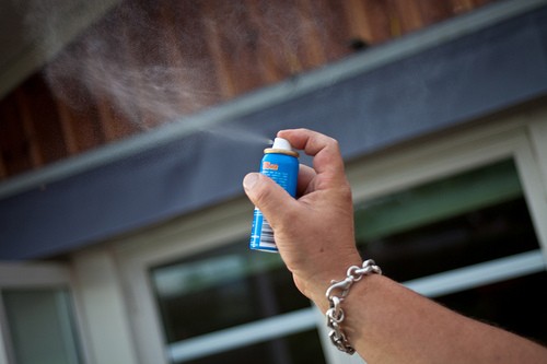  Những điều cần biết về virus 'ăn não' Zika đang lan ra toàn cầu ảnh 6