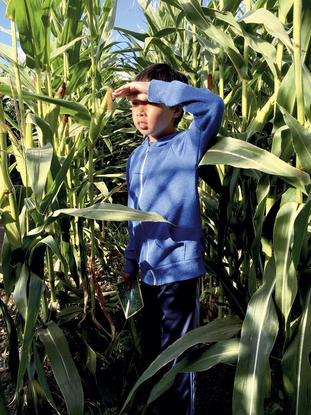 16 bức ảnh đẹp nhất 2015 chụp bằng iPhone ảnh 14