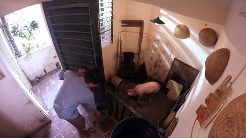 Khi MC Quang Minh, Diễm Quỳnh cũng diễn hài tết ảnh 4