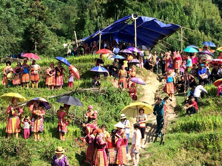 Vẻ đẹp khó cưỡng của những cây đào cổ khổng lồ ảnh 10