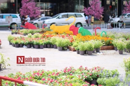 Đường hoa Nguyễn Huệ ngập tràn sắc xuân ngày khai hội ảnh 15