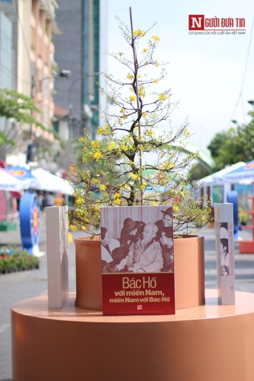 Đường hoa Nguyễn Huệ ngập tràn sắc xuân ngày khai hội ảnh 25