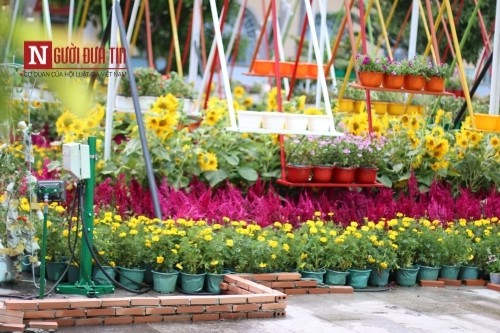 Đường hoa Nguyễn Huệ ngập tràn sắc xuân ngày khai hội ảnh 30