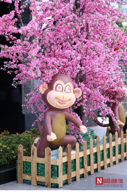 Đường hoa Nguyễn Huệ ngập tràn sắc xuân ngày khai hội ảnh 32