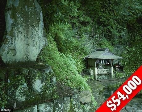 Bí mật trong túi quà ‘an ủi’ trị giá 232.000 USD tại Oscar 2016 ảnh 2