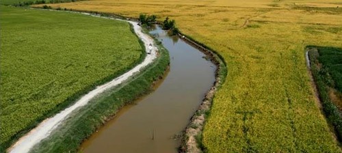 Ngọc Trinh khóc hết nước mắt: 'Em không phải một món hàng' ảnh 2
