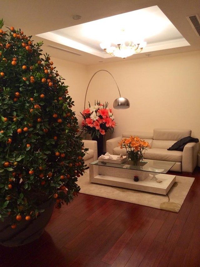 Ca sĩ Tuấn Hưng khoe 'khối tài sản' tại Phú Quốc ảnh 4