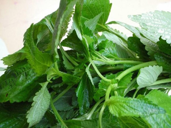 Những sai lầm 'chết người' khi chế biến thịt gà cần tránh ảnh 5