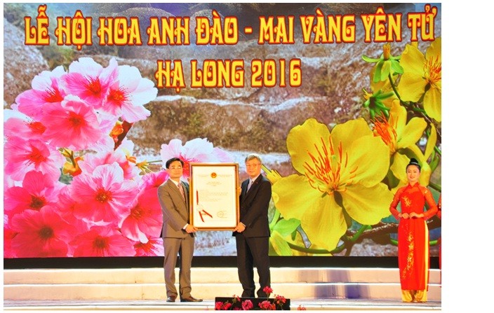 Khai mạc Lễ hội Hoa anh đào - Mai vàng Yên Tử, Hạ Long năm 2016 ảnh 4