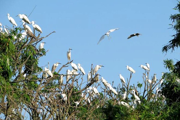 Những hòn đảo đẹp mang tên loài vật ở Việt Nam ảnh 1