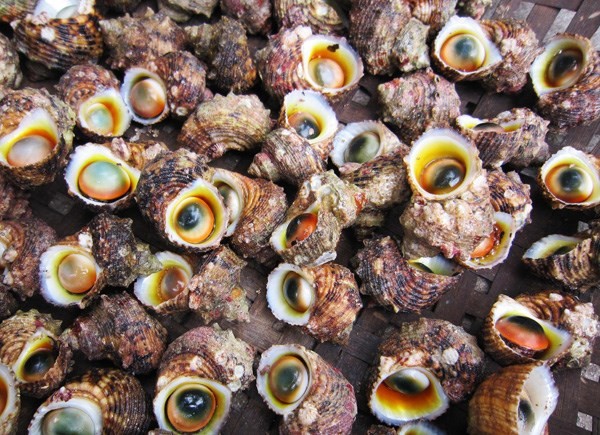 Cẩm nang ẩm thực cho dân du lịch Lý Sơn ảnh 2