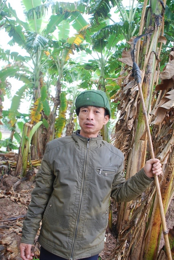 Từ ăn mày thành tỉ phú ở Hải Phòng: 'Tiền tràn về như thác đổ' ảnh 1