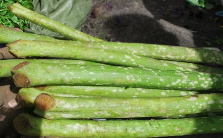 Nao lòng món canh chột nưa ở Huế ảnh 1