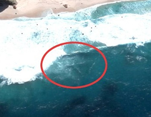 Hình ảnh vệ tinh cho thấy xác MH370 đang ở Mũi Hảo Vọng? ảnh 2